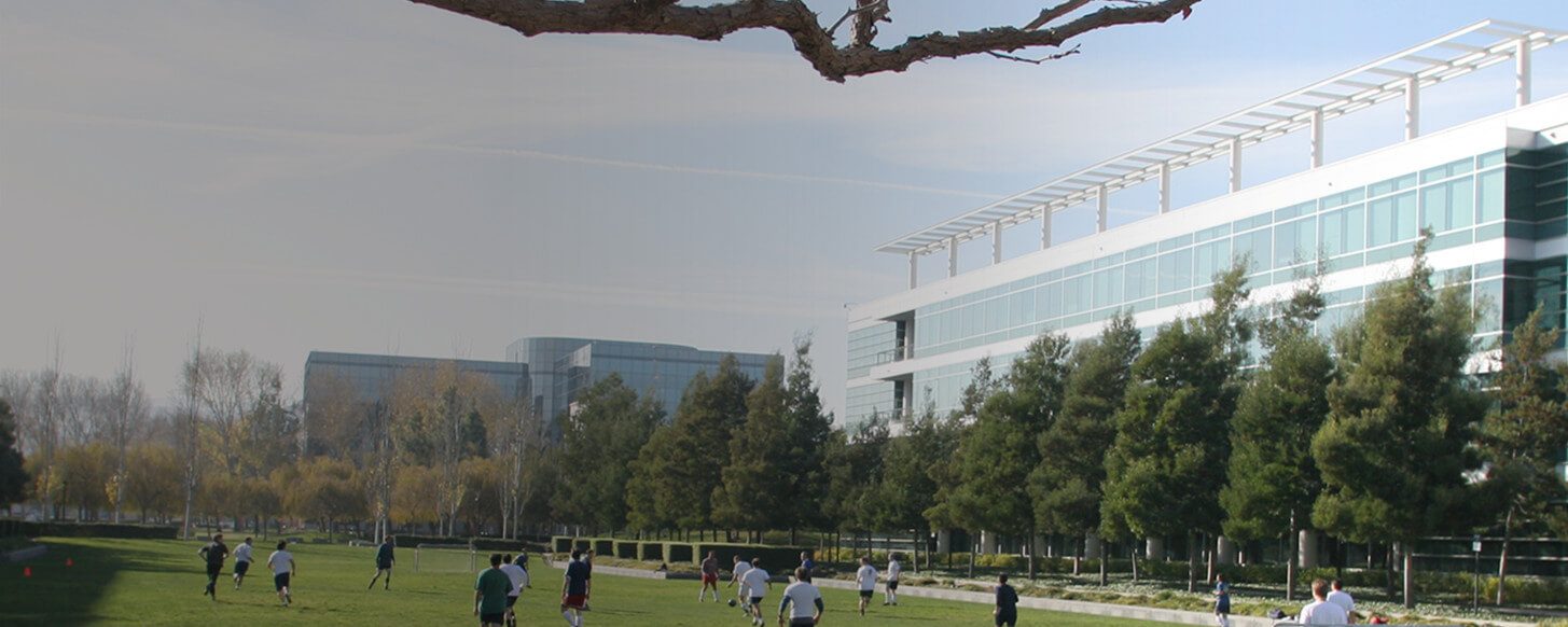 Careers at EA's Redwood Shores Studio An Official EA Site