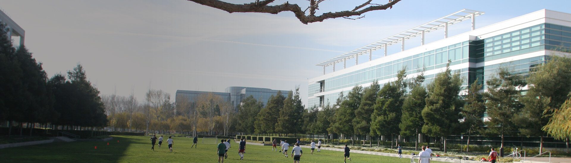 Careers at EA's Redwood Shores Studio An Official EA Site