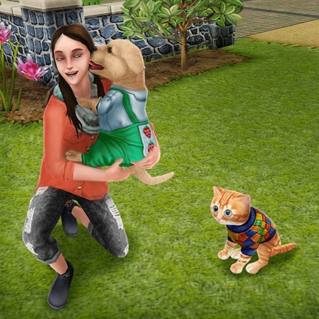 The Ultimate Guide to Sims Freeplay