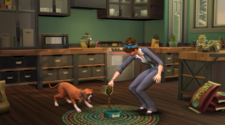 Un Sim alimenta a un perro vertiendo comida en un plato de comida. El perro está muy emocionado por recibir su comida.