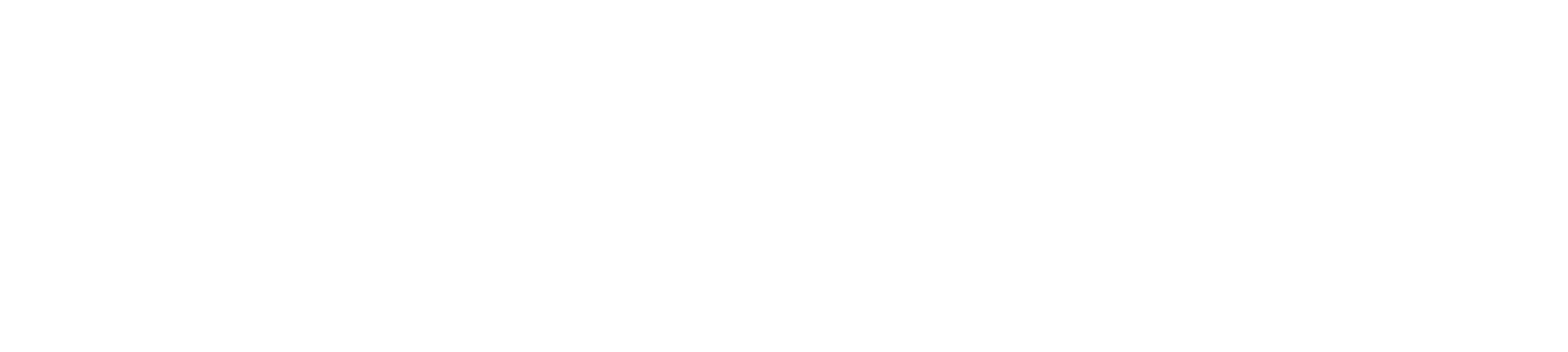 mirrors edge logo