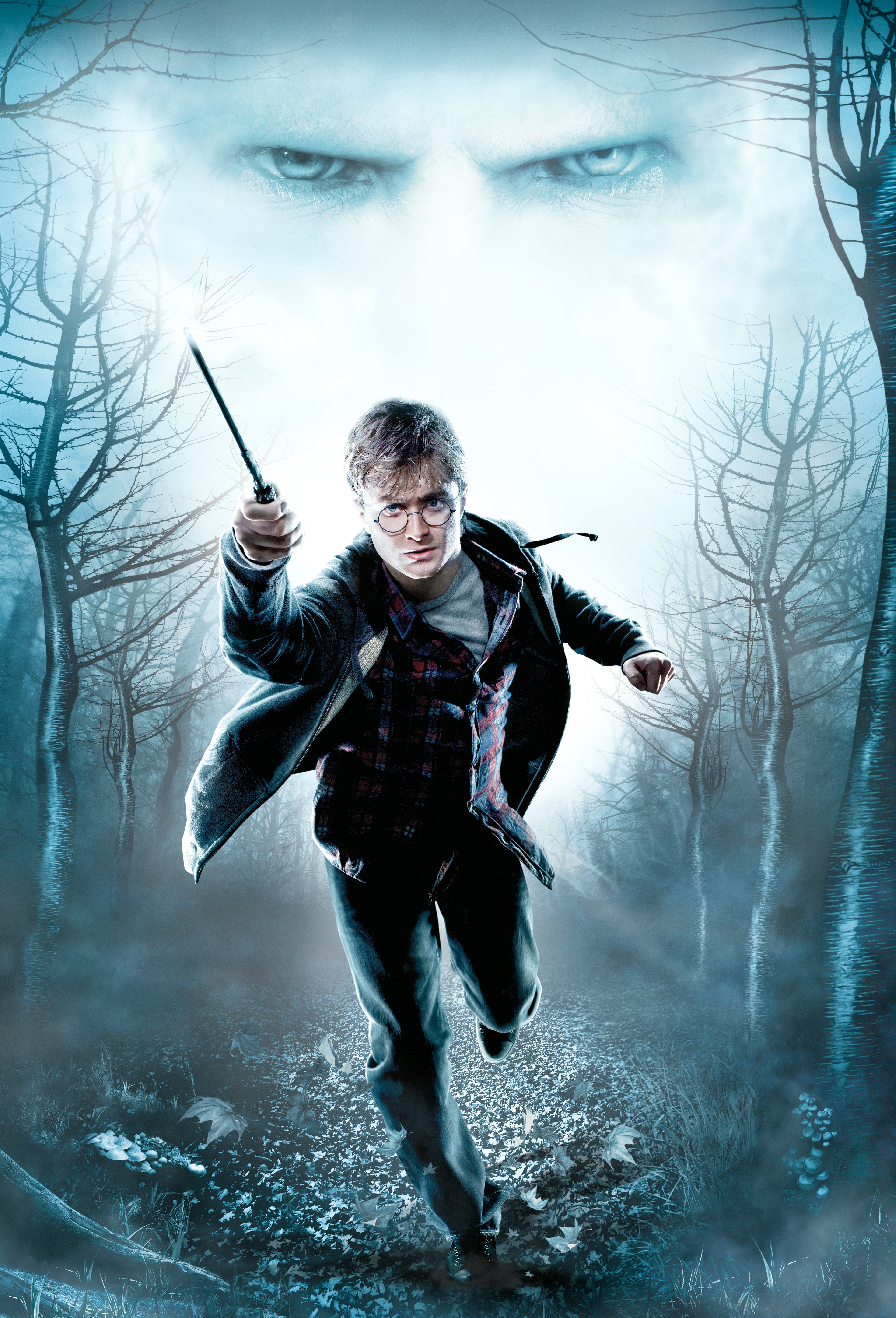 Harry Potter and the Deathly Hallows download the new for windows