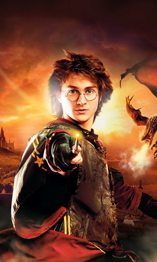 Harry Potter And The Goblet Of Fire