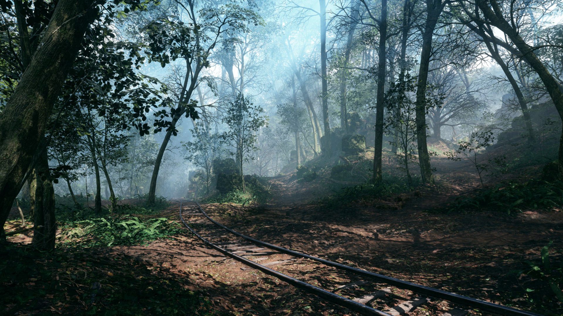 Argonne Forest Map All You Need to Know