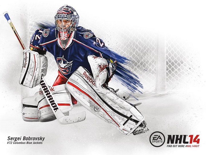 Custom NHL 14 Covers