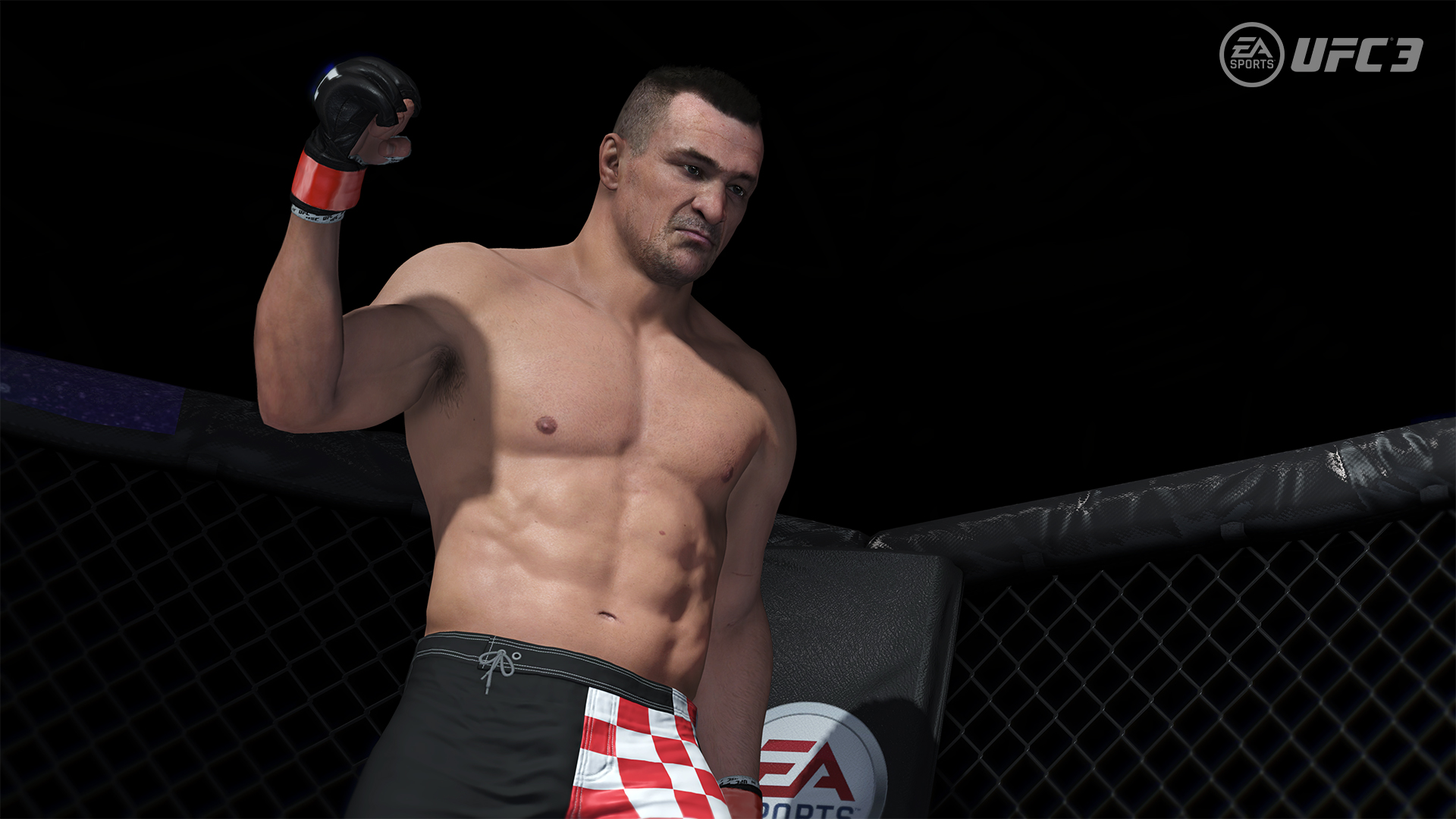 ea sports ufc 3 roster special fighters