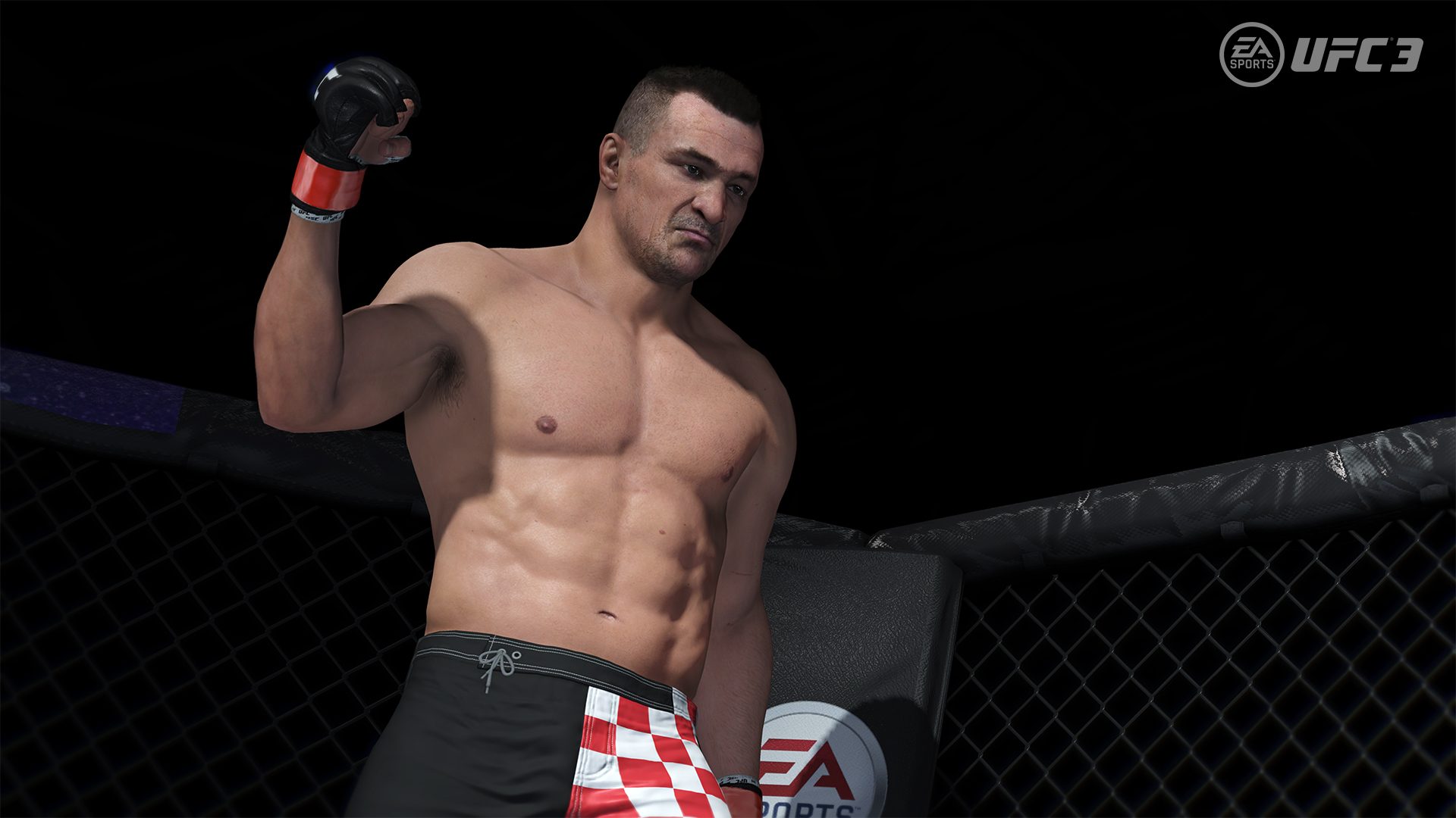 Ufc 3. Мирко Крокоп UFC 3 ps4. Юфс 4 кро коп. Мирко Крокоп в UFC 3. Прокоп боец ММА.