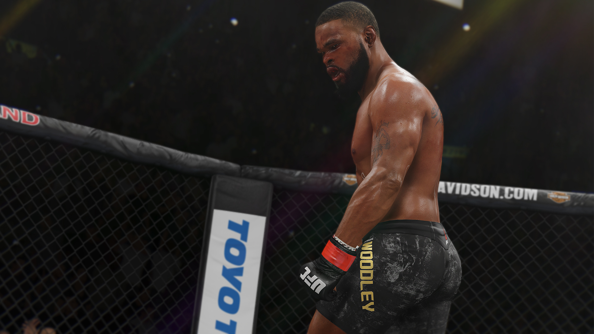 ea sports ufc 3 fluidity ea sports ufc 3 fluidity
