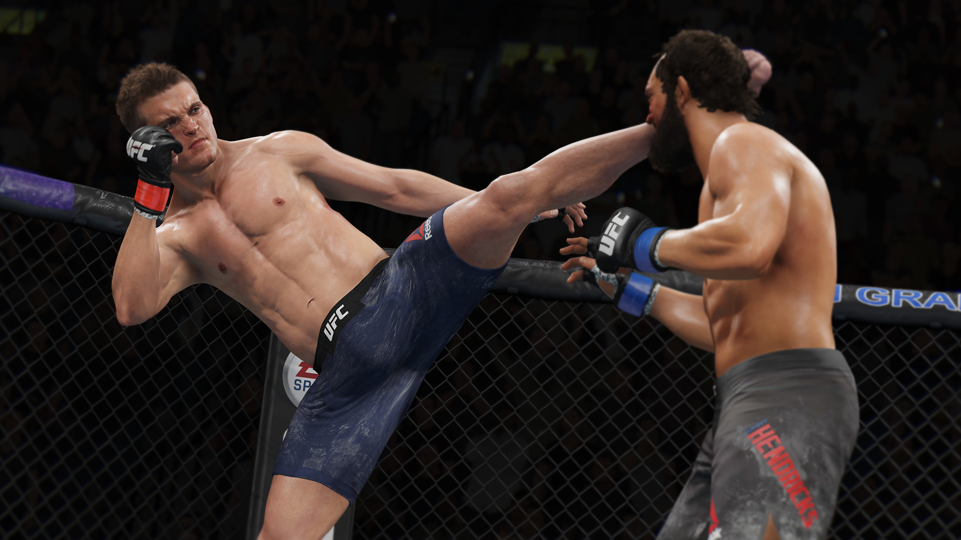 ea sports ufc 3 fluidity