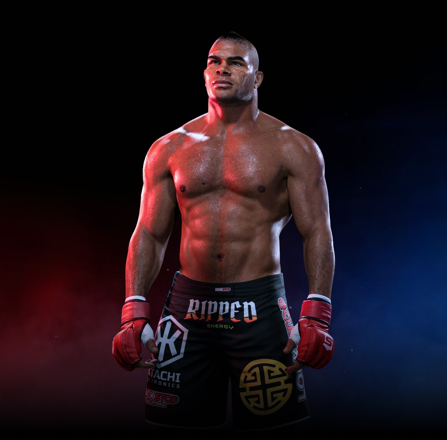 Alistair Overeem (Strikeforce 2011, HW)