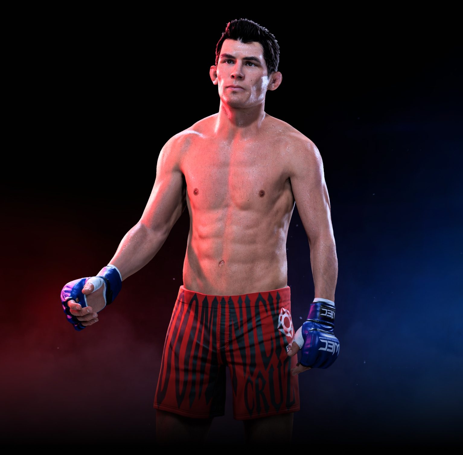 Dominick Cruz (WEC 53, 2010, BW)