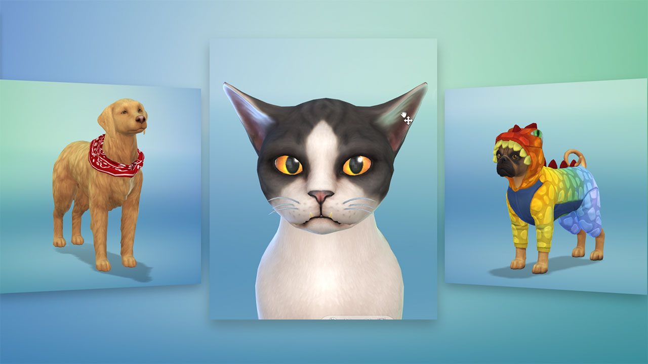 4 питомца. The SIMS 4 питомцы. SIMS 4 животные. SIMS 4 коты. Кот из симс 4.