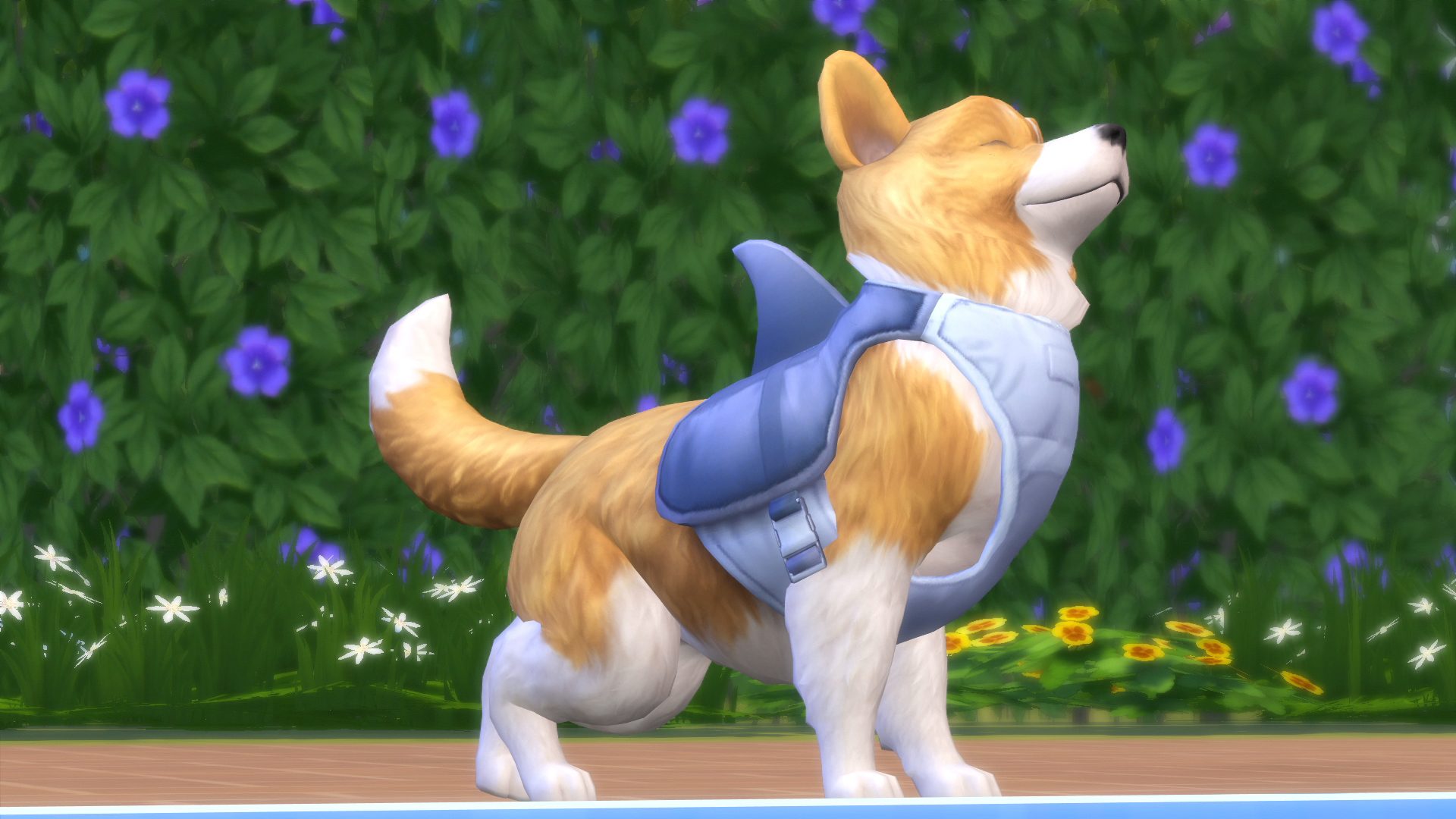 Pet tails 4. The SIMS 4. кошки и собаки. Симс 4 питомцы корги. Симс 4 питомцы собаки. Корги из симс 4.