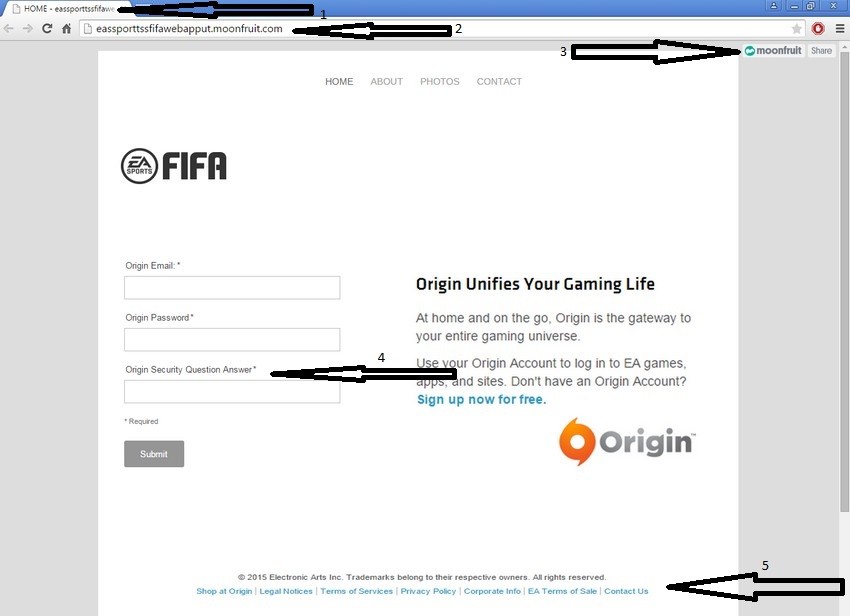 find out your fifa origin account