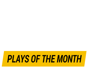 nhl plays of the month